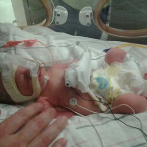 Fundraising Page: Sharlin Logid